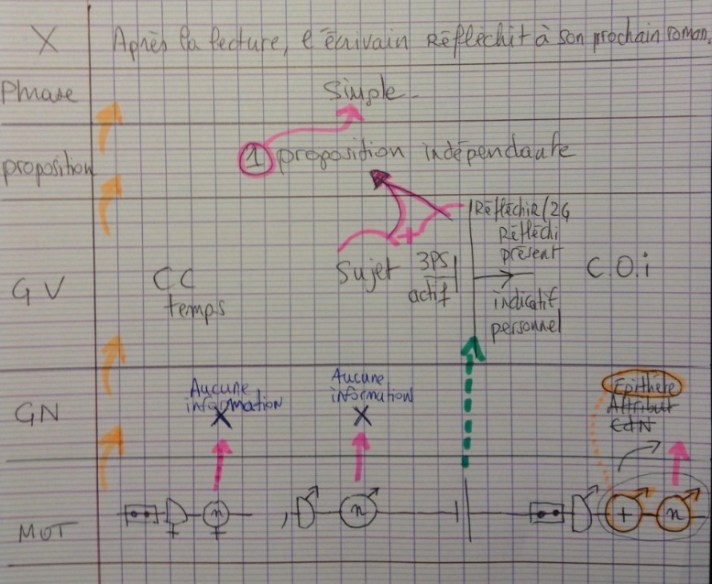 exemple d'un chromosome complet