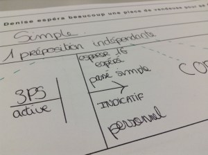 Analyse du verbe dans le chromosome